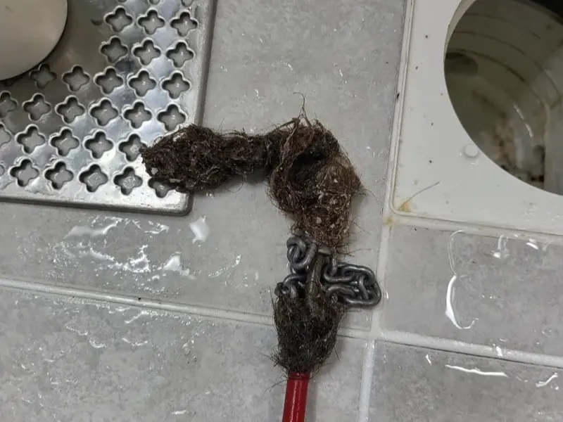 천안 동남구 바닥 배수구에서 끌어낸 머리카락 뭉치